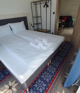 Wisla Casa | Villa Olimpijska 2 - Centrum