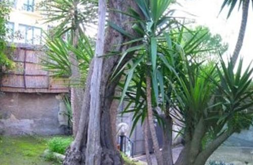 Sorrento Apartamento | Villa Orchidea