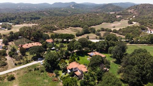 Aristotelis Casa | VILLA PALMERA