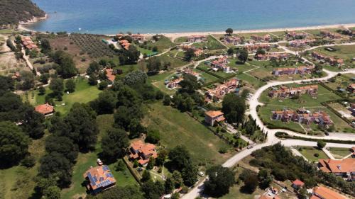Aristotelis Casa | VILLA PALMERA