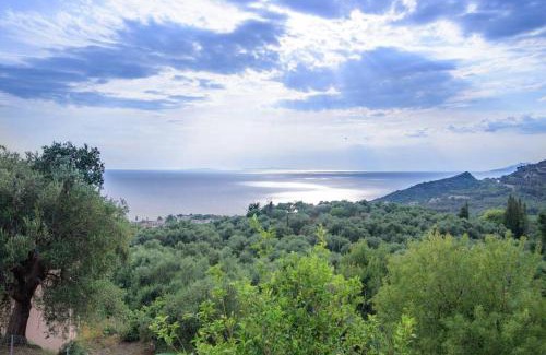 Lygia Casa | Villa Panorama