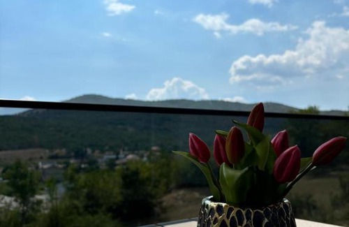 Trn Apartamento | Villa Panorama Rakitno