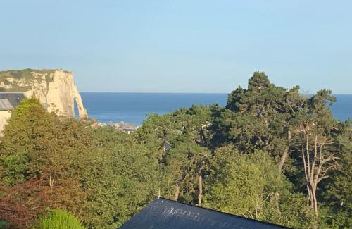 Etretat Villa | Villa Panorama, vue Mer et Falaises d exception
