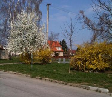 Piestany Casa | Villa Paris