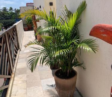 Centro Casa | Villa Peixe Na Telha