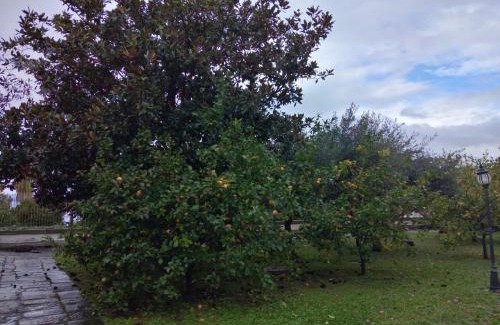 Castellammare di Stabia Apartamento | Villa Pellicano -Il nido