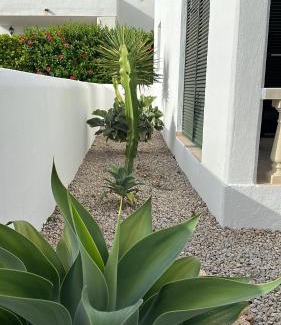 Punta Grossa Casa | VILLA PIÑUELO (RELAX EN EL PARAÍSO).