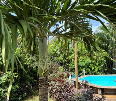 Les Anses-d'Arlets Villa | Villa Piscine - Bougainvillier