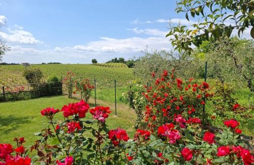 Montioni Casa | Villa Poggio Bardolino