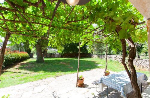 Kanfanar Villa | Villa Postaja