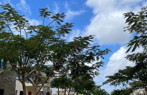 Veron Casa | Villa Punta Cana residencia segura con piscina