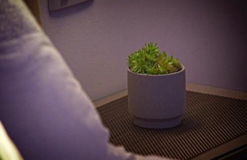 Mali Ston Cama Y Desayuno | Villa Radić