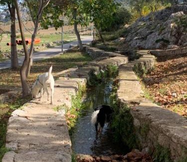 Cuevas del Becerro Casa | Villa Remedios