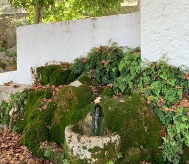 Cuevas del Becerro Casa | Villa Remedios