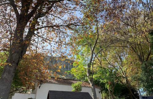 Cuevas del Becerro Casa | Villa Remedios