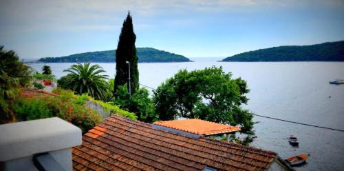 Molunat Apartamento | Villa Riva