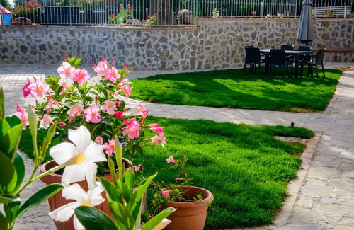 Pisciotta Villa | Villa Rosa Cilento rodeada de olivos