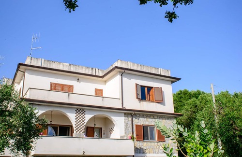 Pisciotta Villa | Villa Rosa Cilento rodeada de olivos