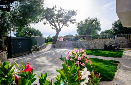 Pisciotta Villa | Villa Rosa Cilento rodeada de olivos