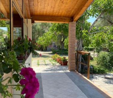 Palinuro Cama Y Desayuno | Villa Rosada