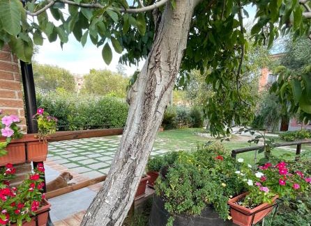 Palinuro Cama Y Desayuno | Villa Rosada