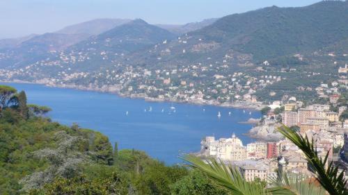 Camogli Hotel | Villa Rosmarino