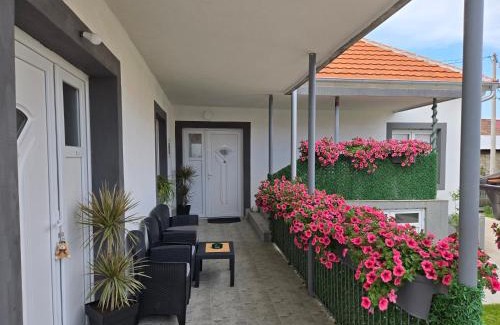 Golubac Apartamento | Villa Ruža