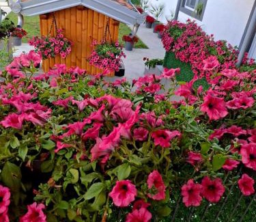 Golubac Apartamento | Villa Ruža