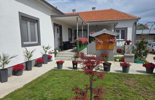 Golubac Apartamento | Villa Ruža