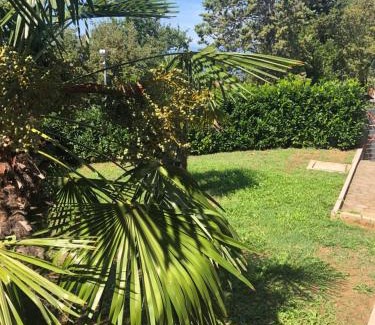 Njivice Apartamento | Villa Rudy Holiday Home