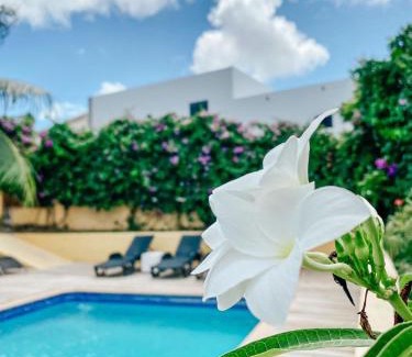 Willemstad Casa | Villa Sandemarie Curaçao