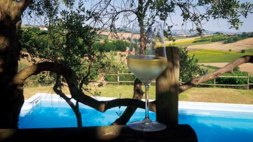 Morro d'Alba Casa | Villa Sant'Elena