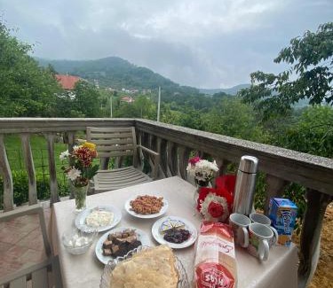 Novi Grad Sarajevo Villa | Villa Sara