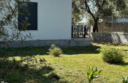 Borsh Apartamento | Villa Shega