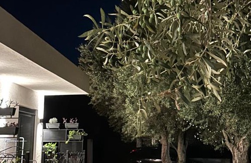 Borsh Apartamento | Villa Shega