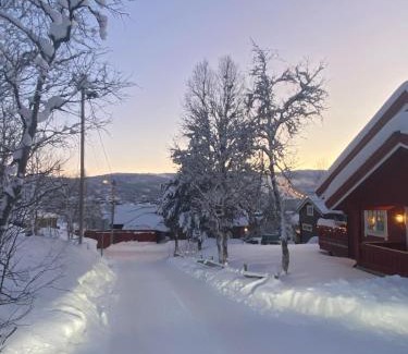 Geilo Apartamento | Villa Solsiden Geilo