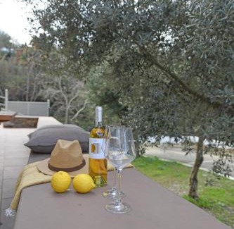 Ikaria Casa | Villa Sophia