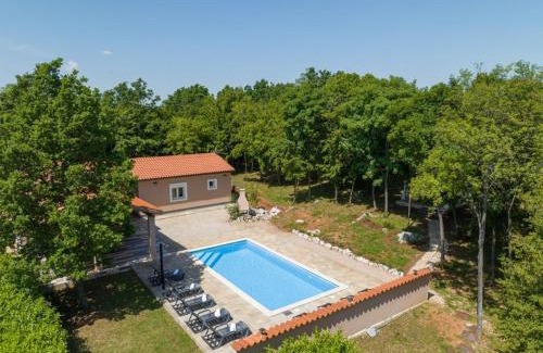 Zupanici Villa | Villa St Nikola with jacuzzi and private swimming pool