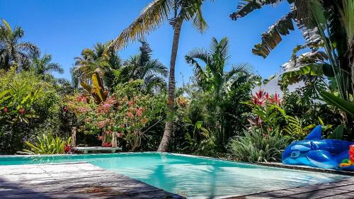ProCab Villa | Villa Strelitzia Cabarete