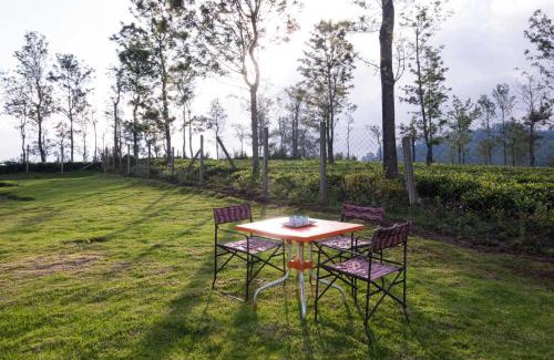 Wellington Villa | Villa Sullivan by VEO - Part of StayVista