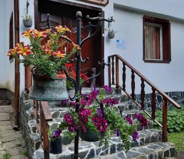 Maritsa Hotel | Villa Sveti Dimitar