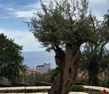 Dhermi Casa | Villa Thomas