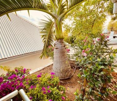 Corossol Casa | Villa Ti Pop - Corossol