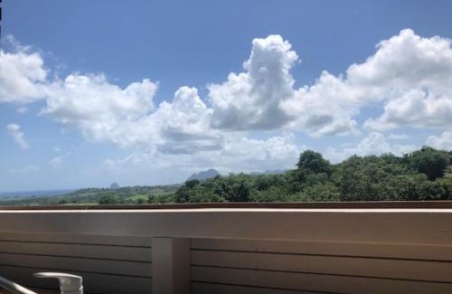 Sainte-Luce Villa | Villa Tigo T3 Colibri