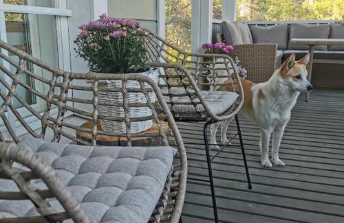Saariselka Casa | Villa Tonttula Saariselkä