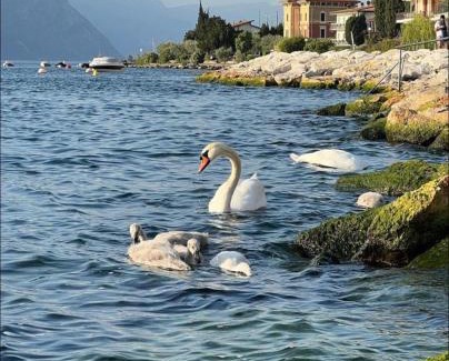 Magugnago Casa | Villa Torre - Atmosfera Romantica