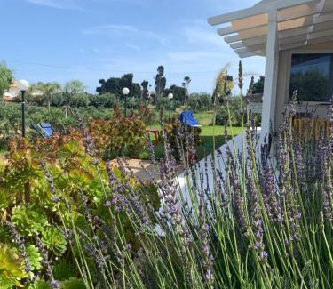 Noto Casa | Villa Tra Mare e Ulivi