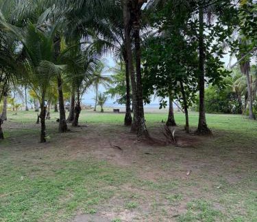 Parrita Casa | Villa Turtle