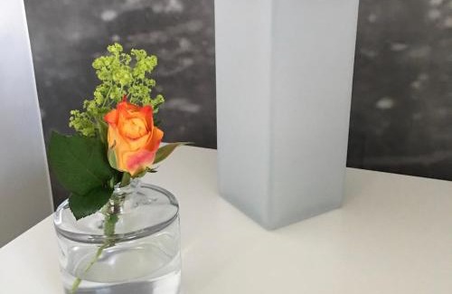 Rotem Apartamento | Villa van Brienen