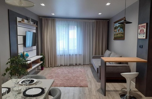 Truskavets Apartamento | villa Viktor